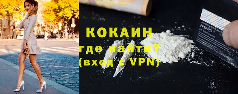 MEGA маркетплейс  купить  цена  Кохма  Cocaine Перу 